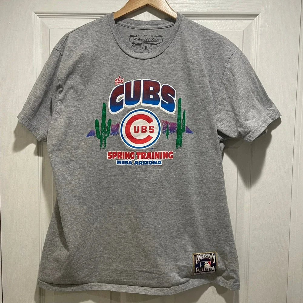 Mitchell & Ness Mens Chicago Cubs Spring Training T-Shirt XL Gray Cotton Blend